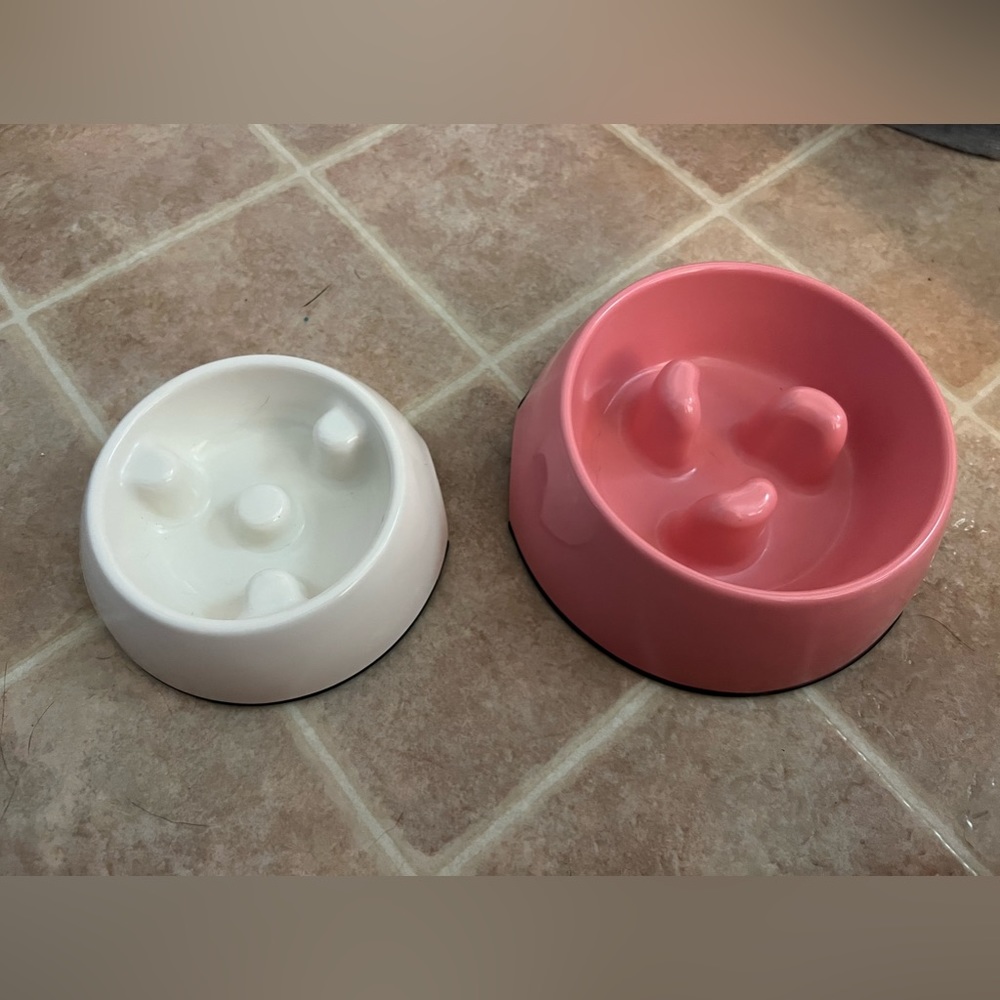 Slow feeder dog bowl